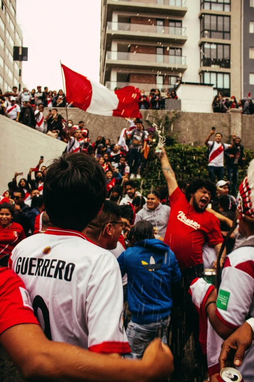 the fans are waving flags in a stadium