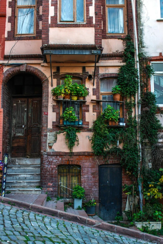 an image of the front of a house with flowers