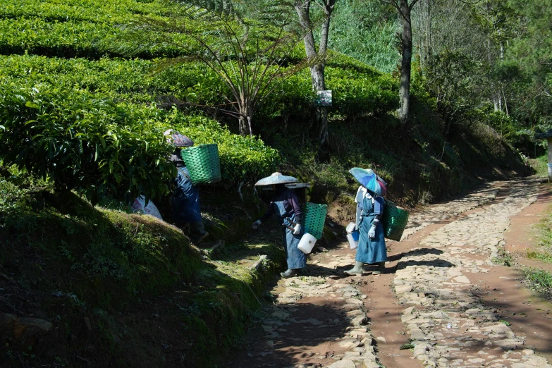 two people walk down a dirt trail with green bags on their heads