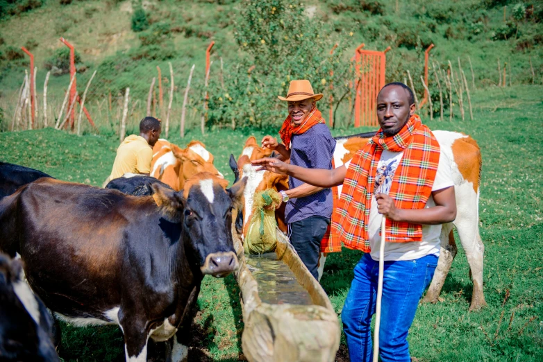 two men standing near cows wearing colorful outfits