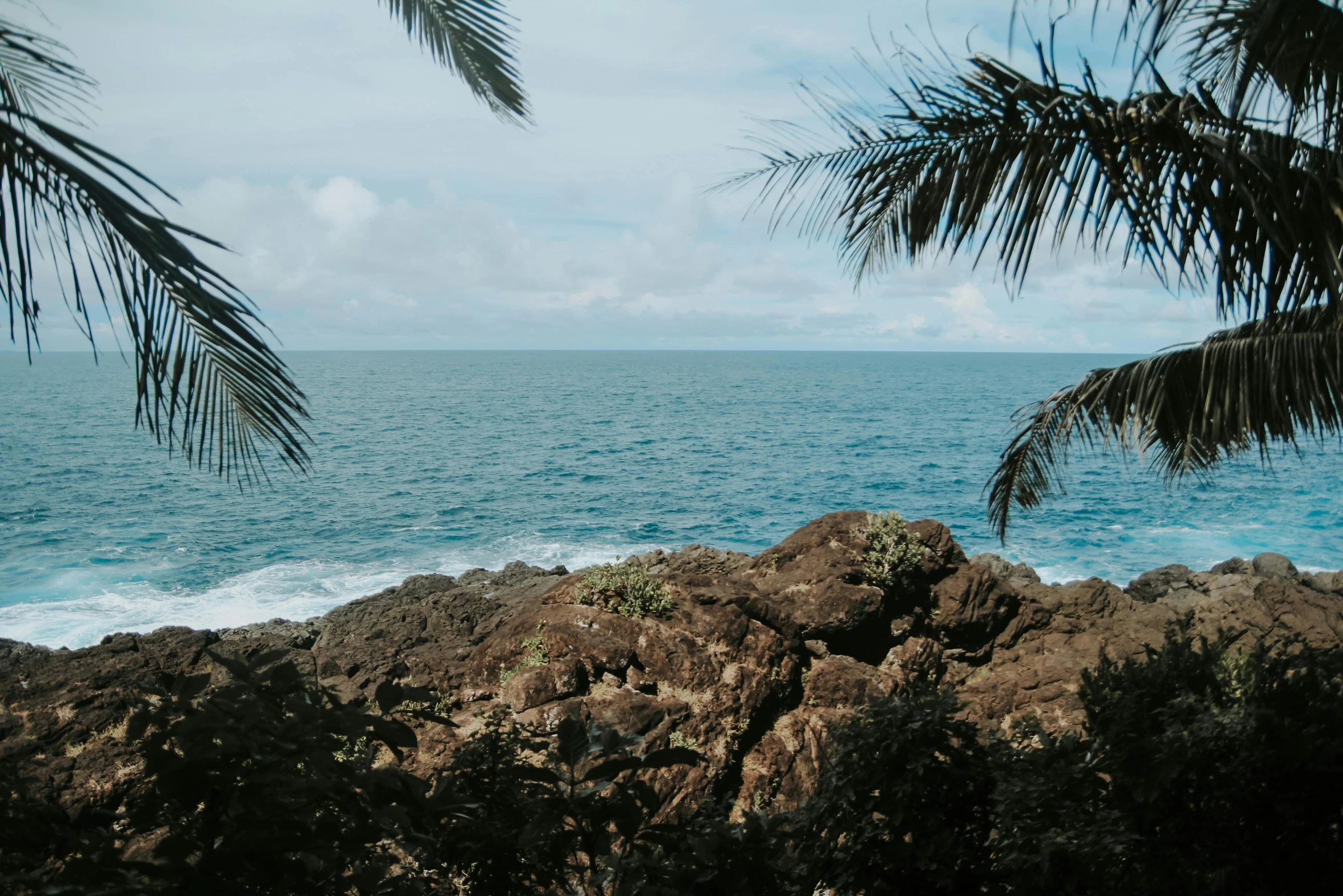 tropical vegetation and blue ocean on a cloudy day