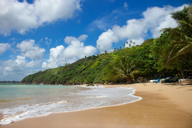 the ocean and beach is next to a green cliff