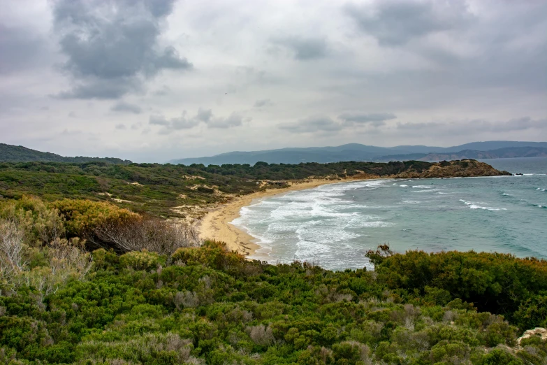 the landscape in the wild shows green plants and a body of water