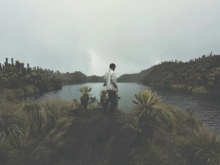 a man walking through a lush green forest