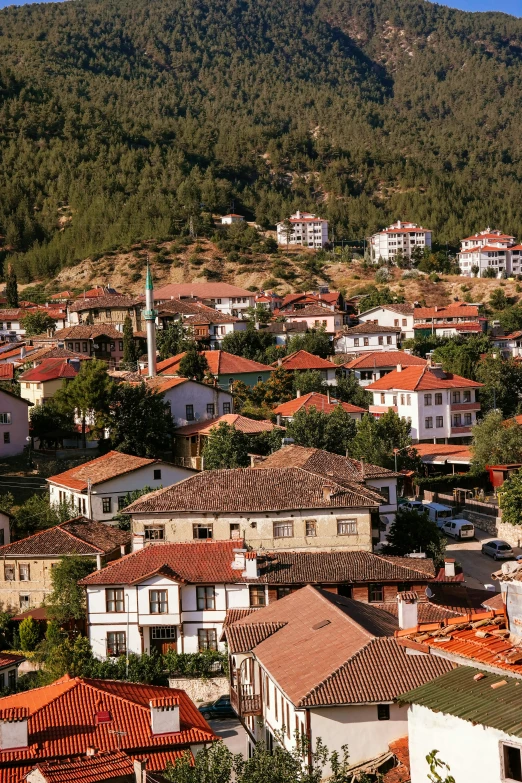 the roofs of several houses in an urban setting