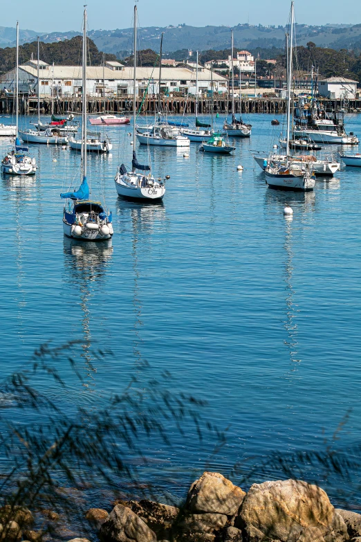 a harbor filled with lots of boats on top of water