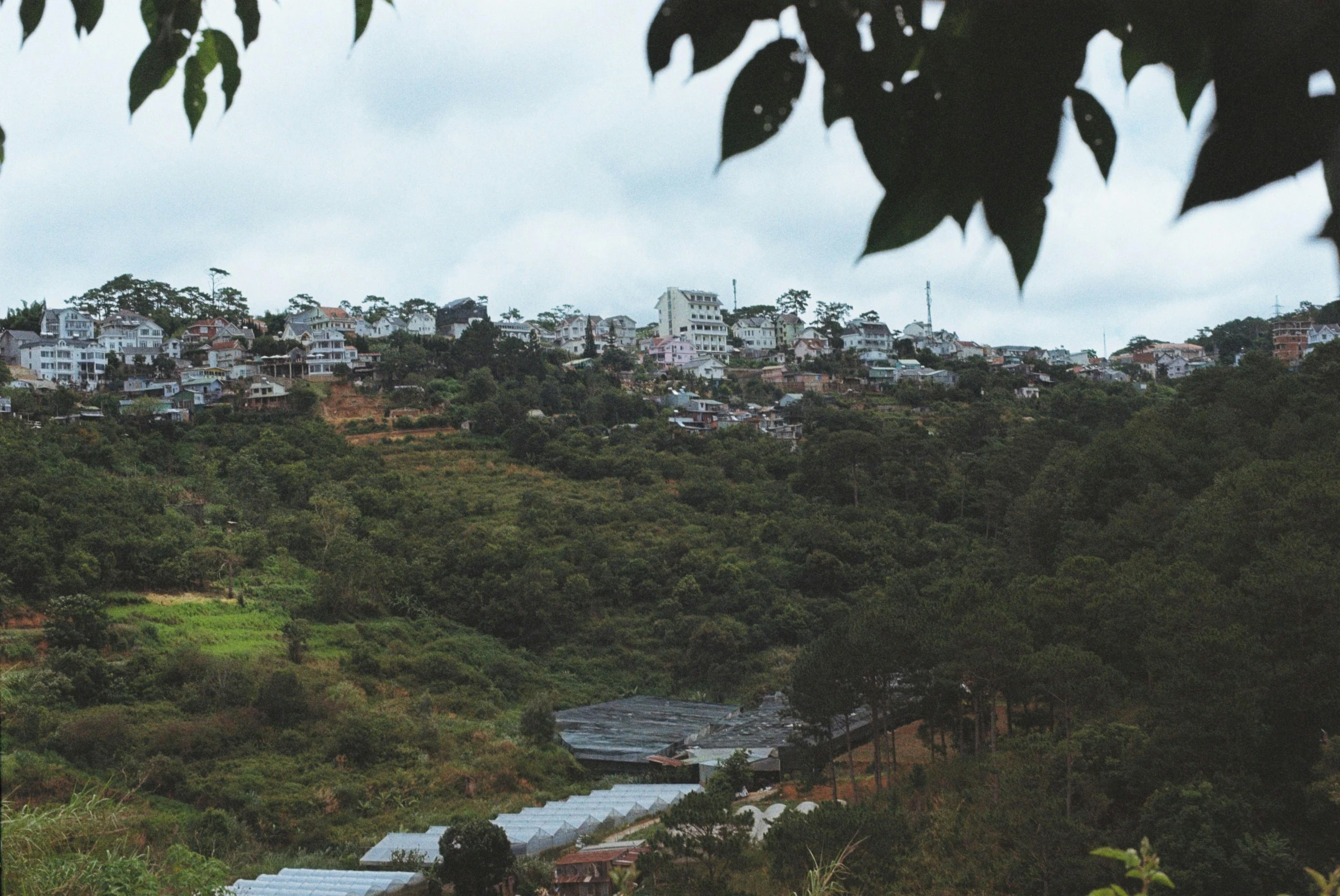 city on top of hill with lots of trees and bushes