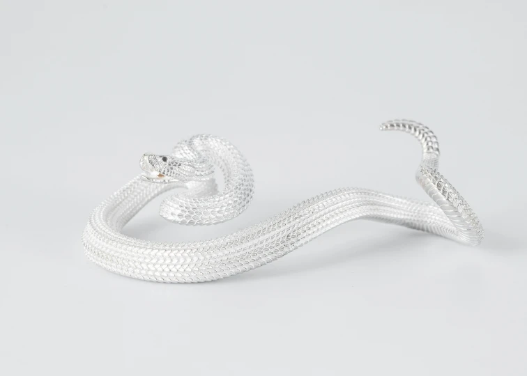 a snake - like object on a white background