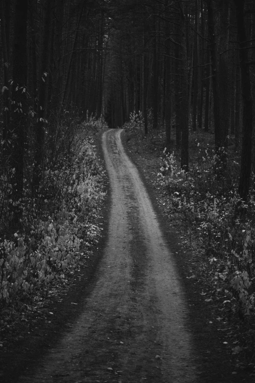 a black and white po of an empty road