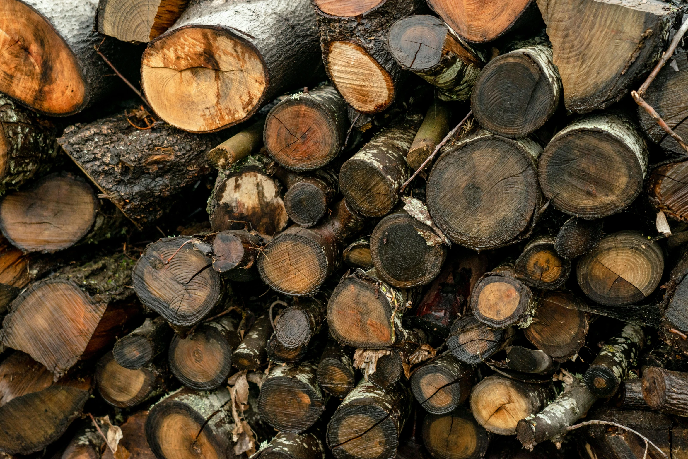 stacked up logs of various sizes and colors