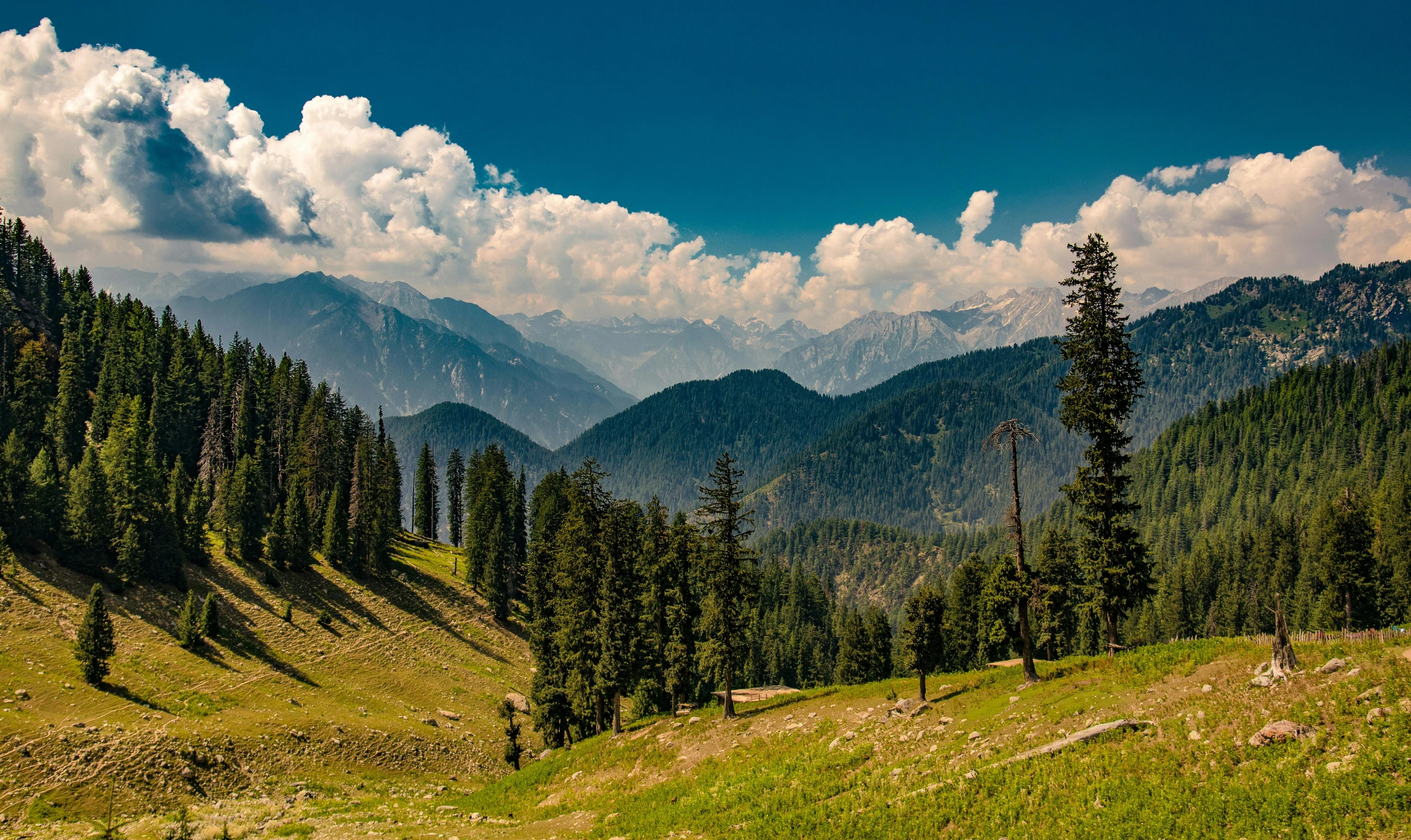 trees and mountains with some clouds above them