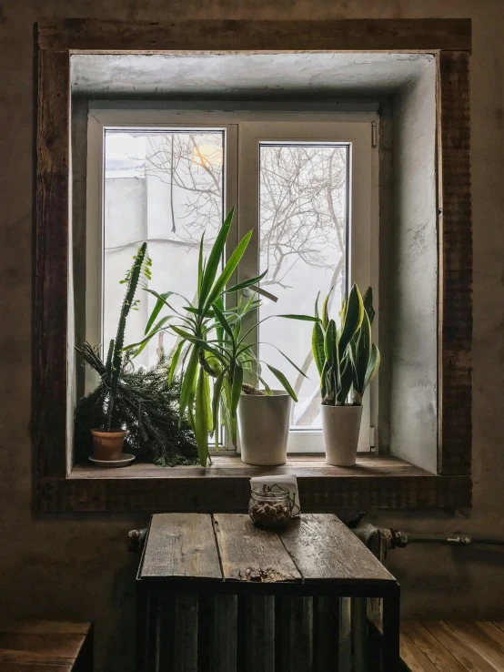 a wooden table in front of a window filled with house plants