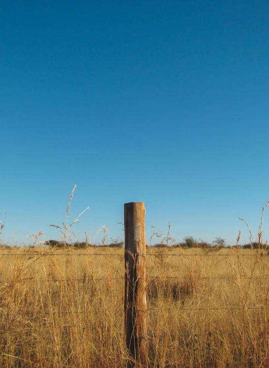 a wooden post sitting in the middle of a field