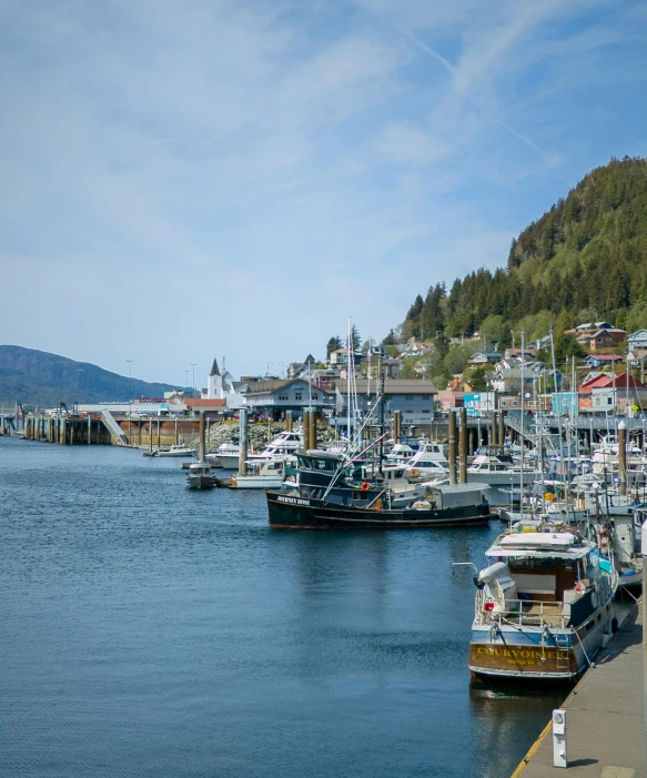 boats and yachts are docked at the harbor