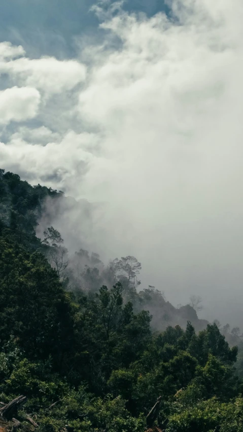 a mountain is shroud by low cloud