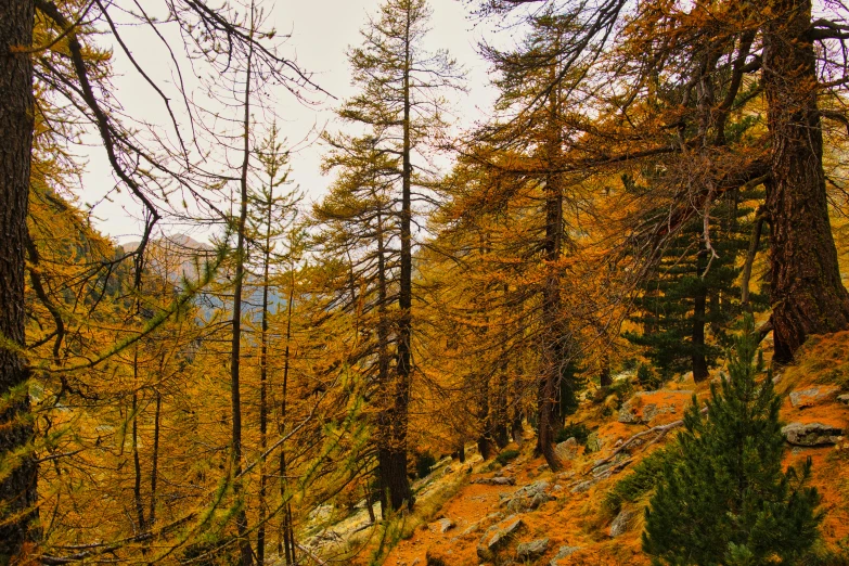 a trail with a red sign leading to a lake