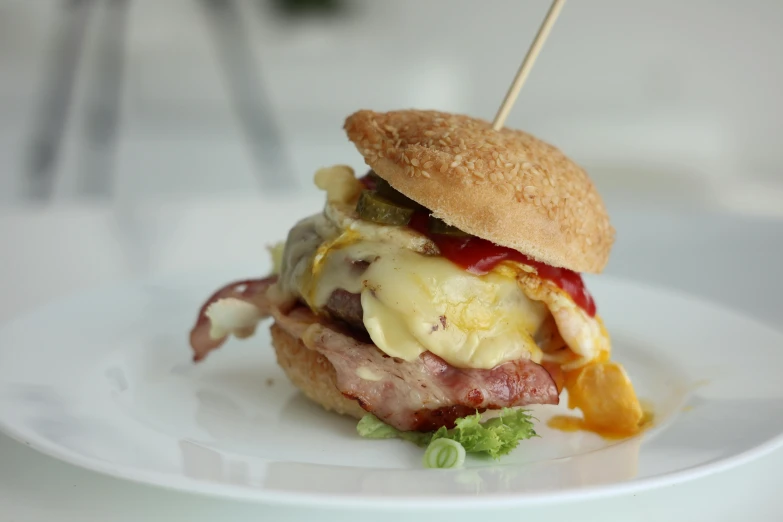 sandwich with cheese and meat on white plate