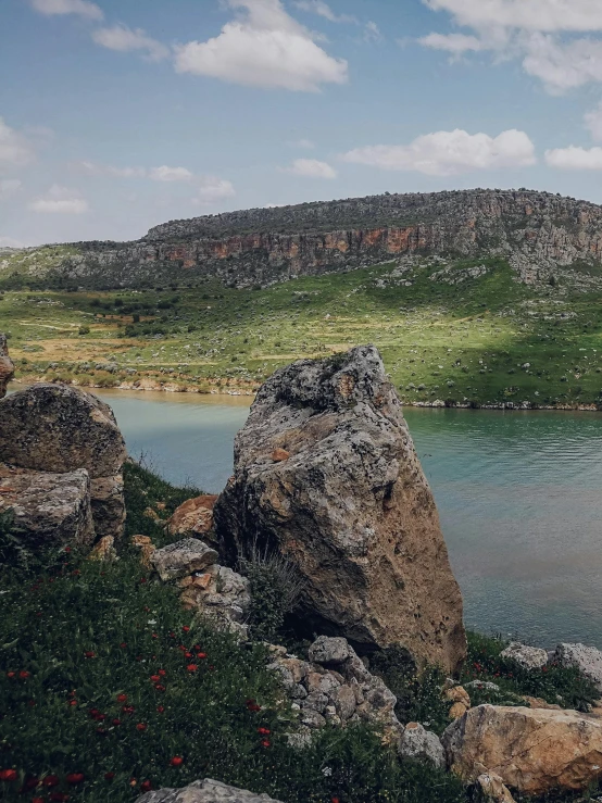 a large rock near the water has many red flowers