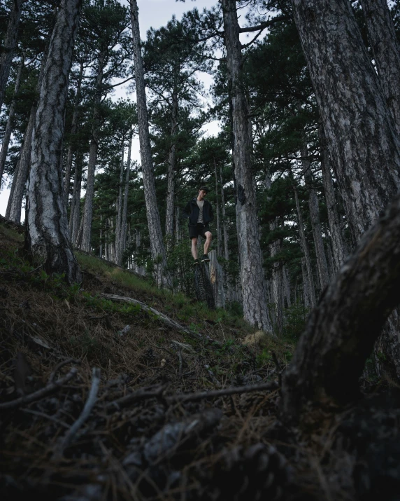 a person walks up hill between several trees