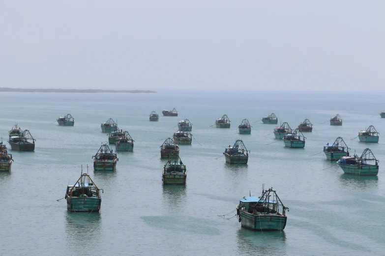 dozens of fishing boats floating in the sea