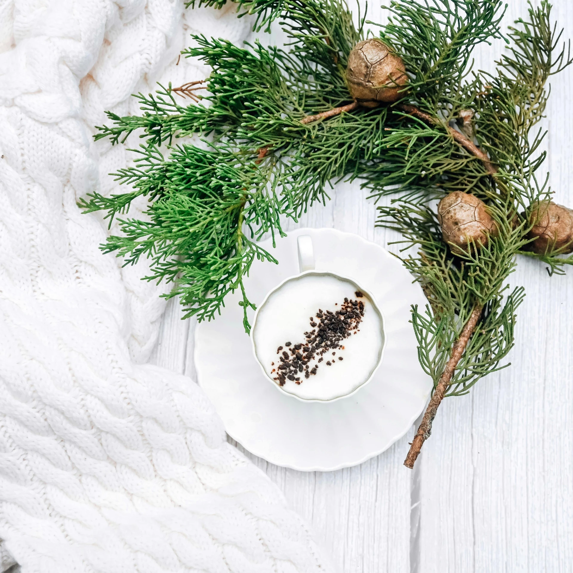 white saucer with a dessert dish and greenery