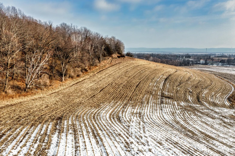 a dirt field with lots of trees in the winter