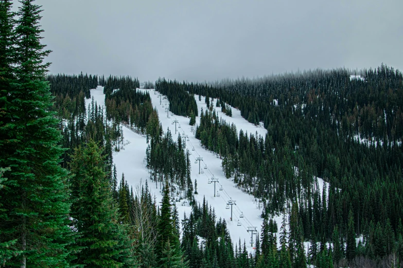 a snowy mountain is next to a forest