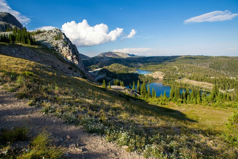 a grassy slope in the distance, with mountains in the background