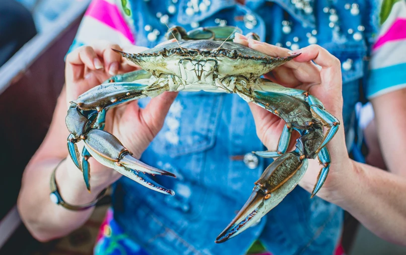 a woman holding two blue crabs with both hands