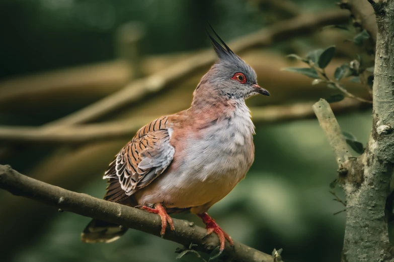 a small bird is sitting on a nch