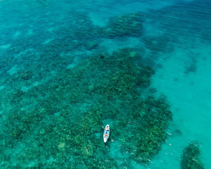 a white canoe floats in clear blue water