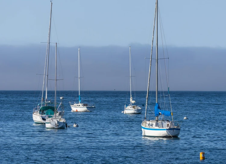 sail boats floating on water near one another