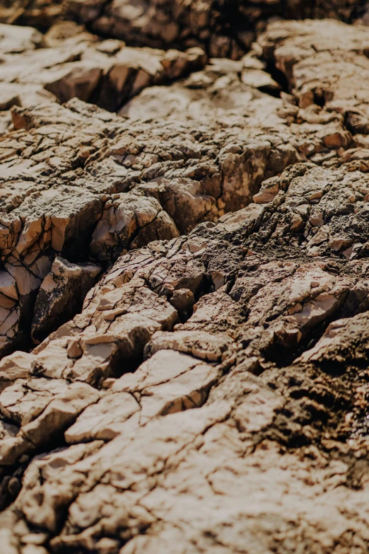 a group of rocks sitting on top of a dry grass covered ground