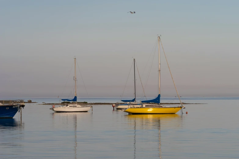 the water and sailboats are blue and yellow