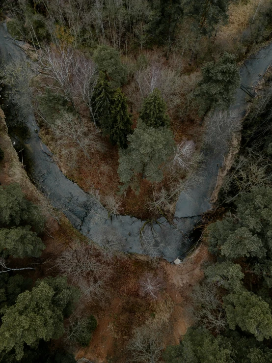 an overhead view of the road surrounded by forest