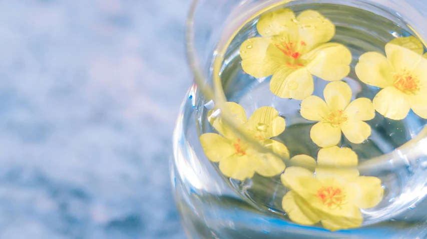 some yellow flowers are floating in a vase filled with water