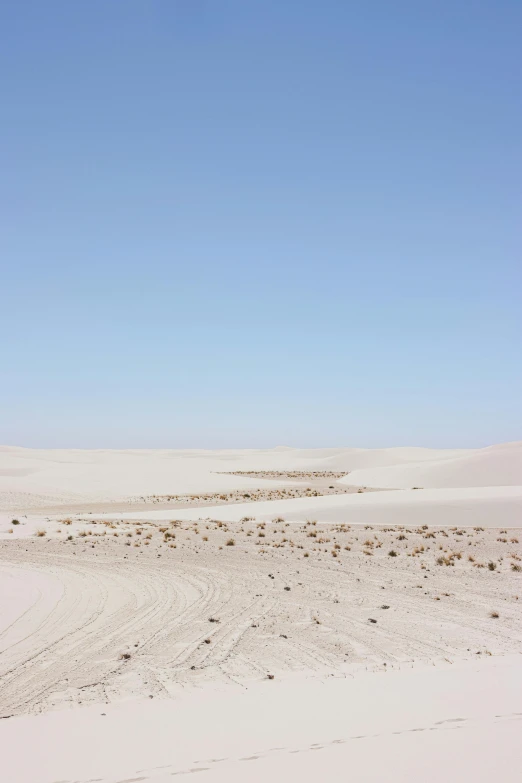 three buses are parked in a desert area