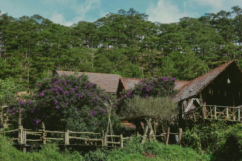 an old house surrounded by trees and bushes