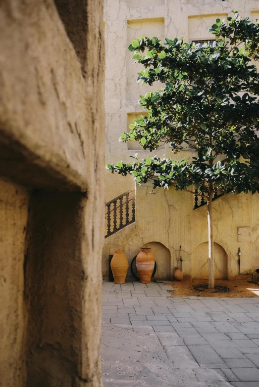 a tree in the middle of a brick courtyard