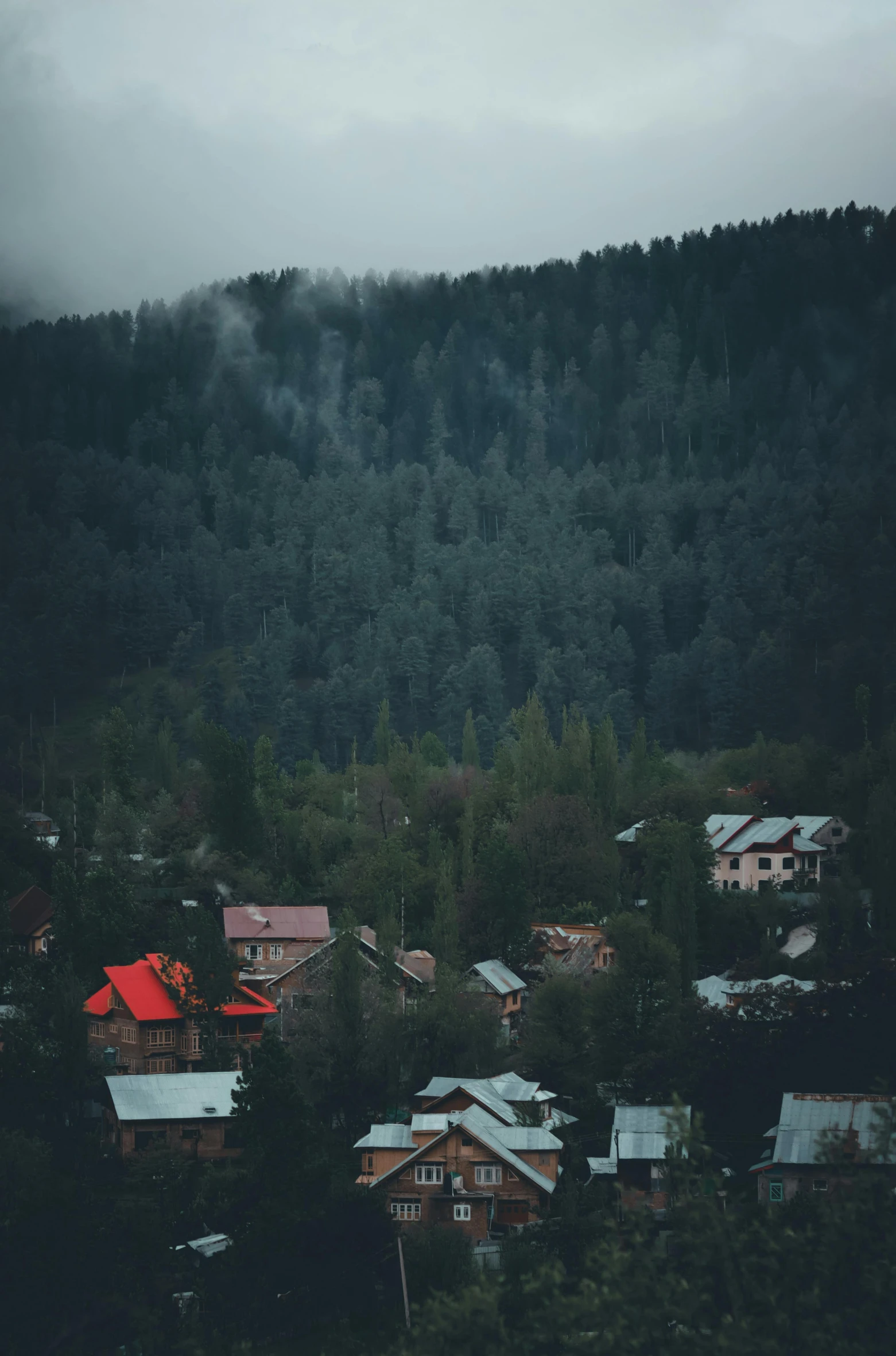 small towns below the trees with a foggy sky