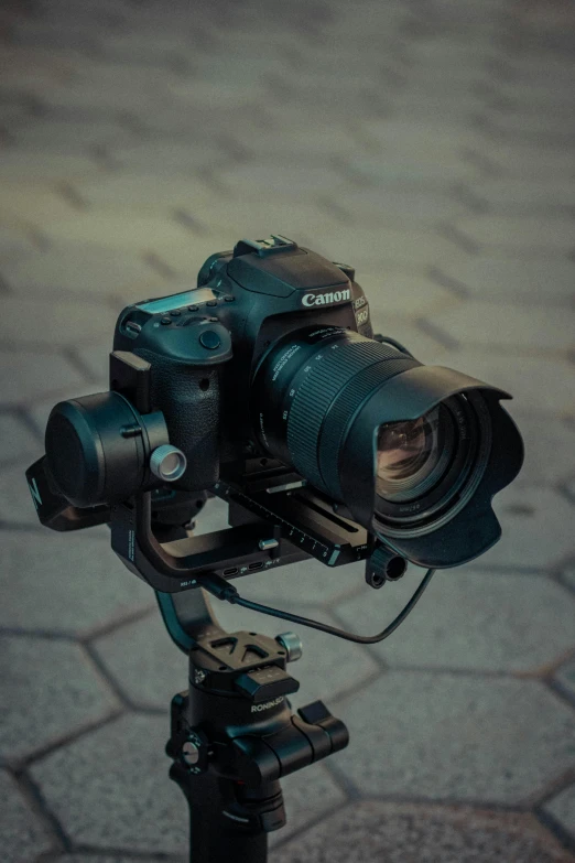 camera being held on tripod and surrounded by brick pavement