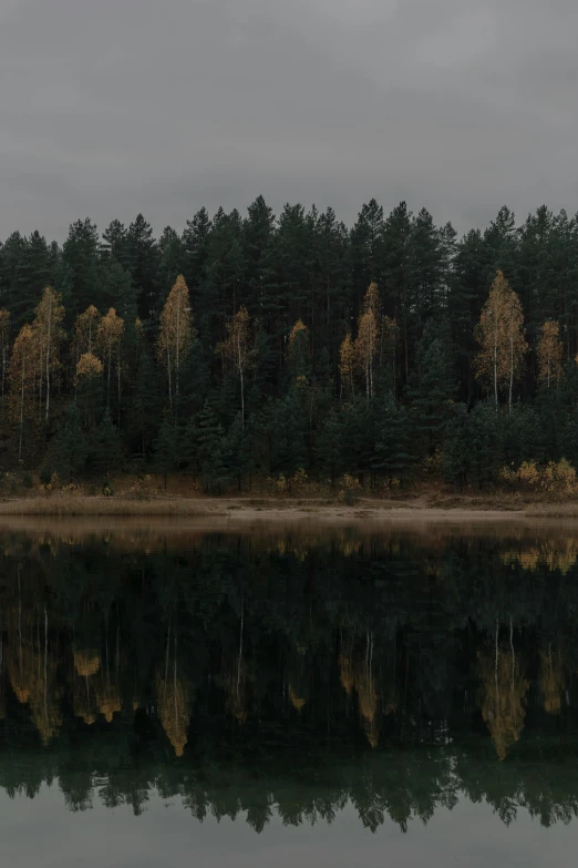 a lake with green trees surrounding it in a wooded area