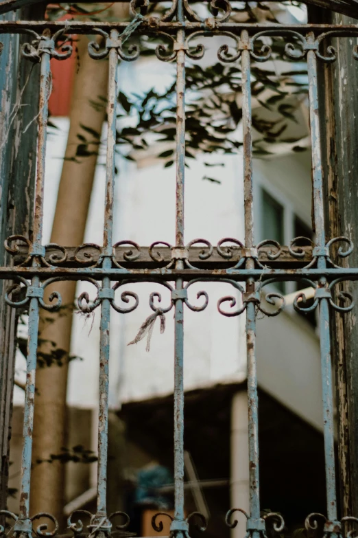 some metal bars outside of a building and trees