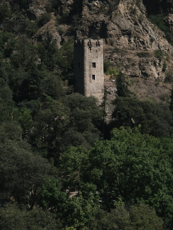 a castle is seen in the middle of a forested area