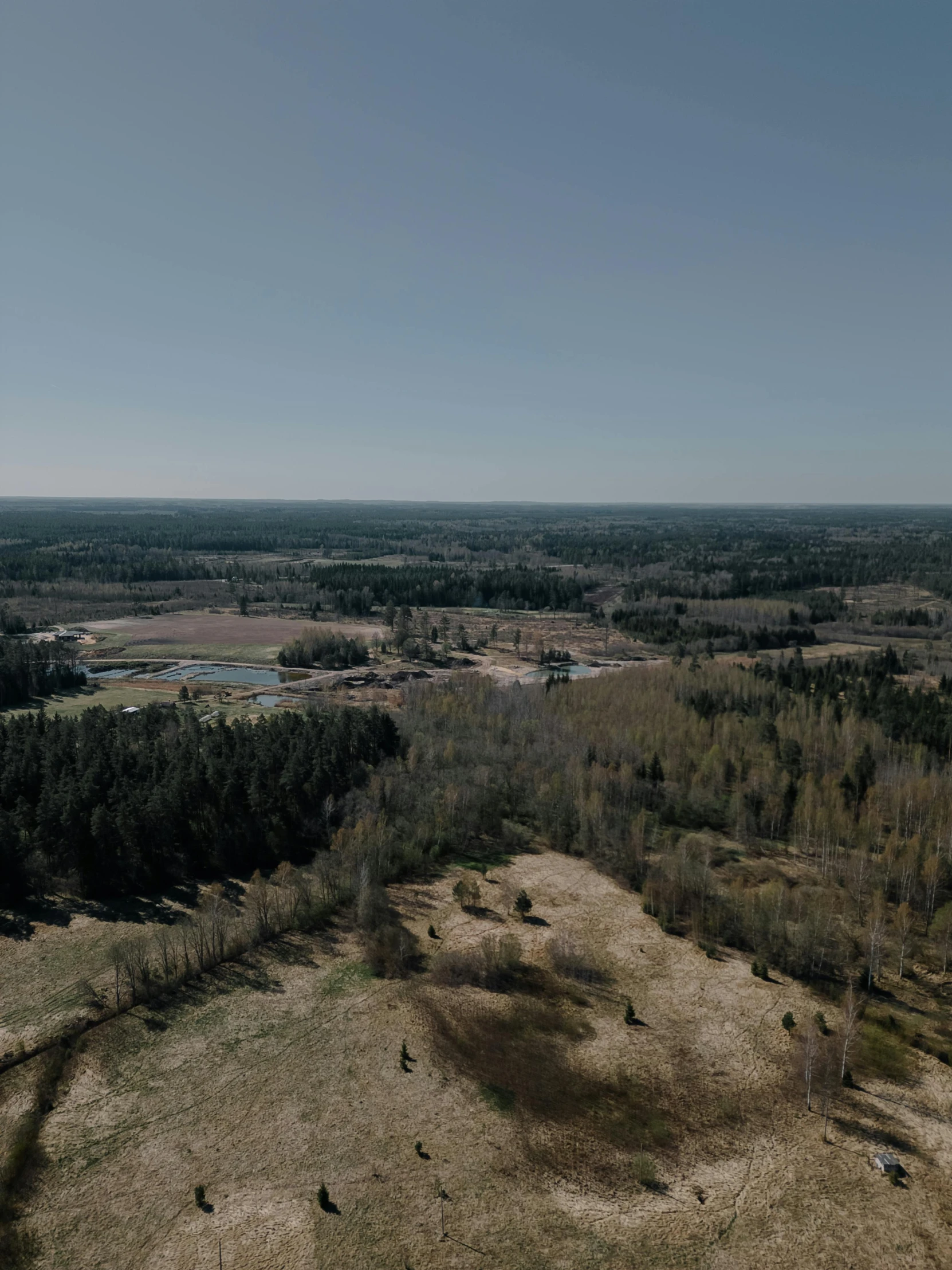 a very large open field with lots of trees and an area that is mostly empty