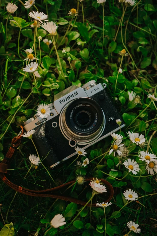 a camera lying in flowers with it's lens