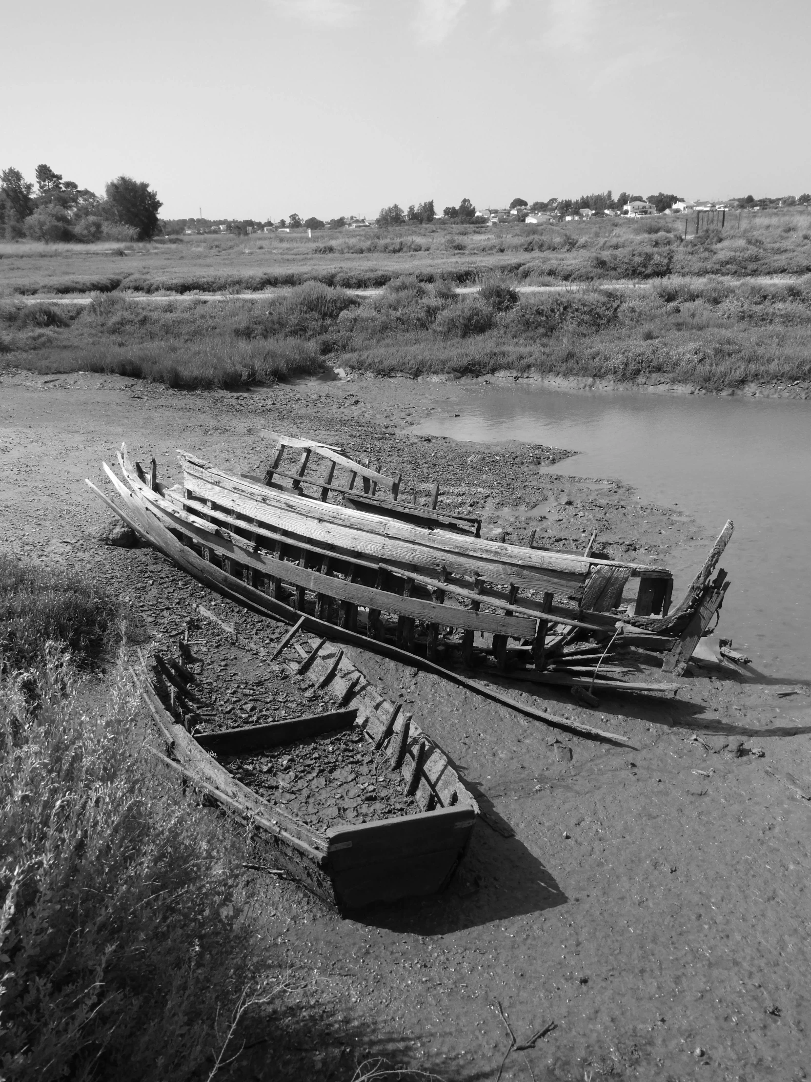 two rowboats on the shore of a lake with dead grass and trees