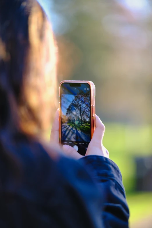 a person holding up their smart phone taking a po