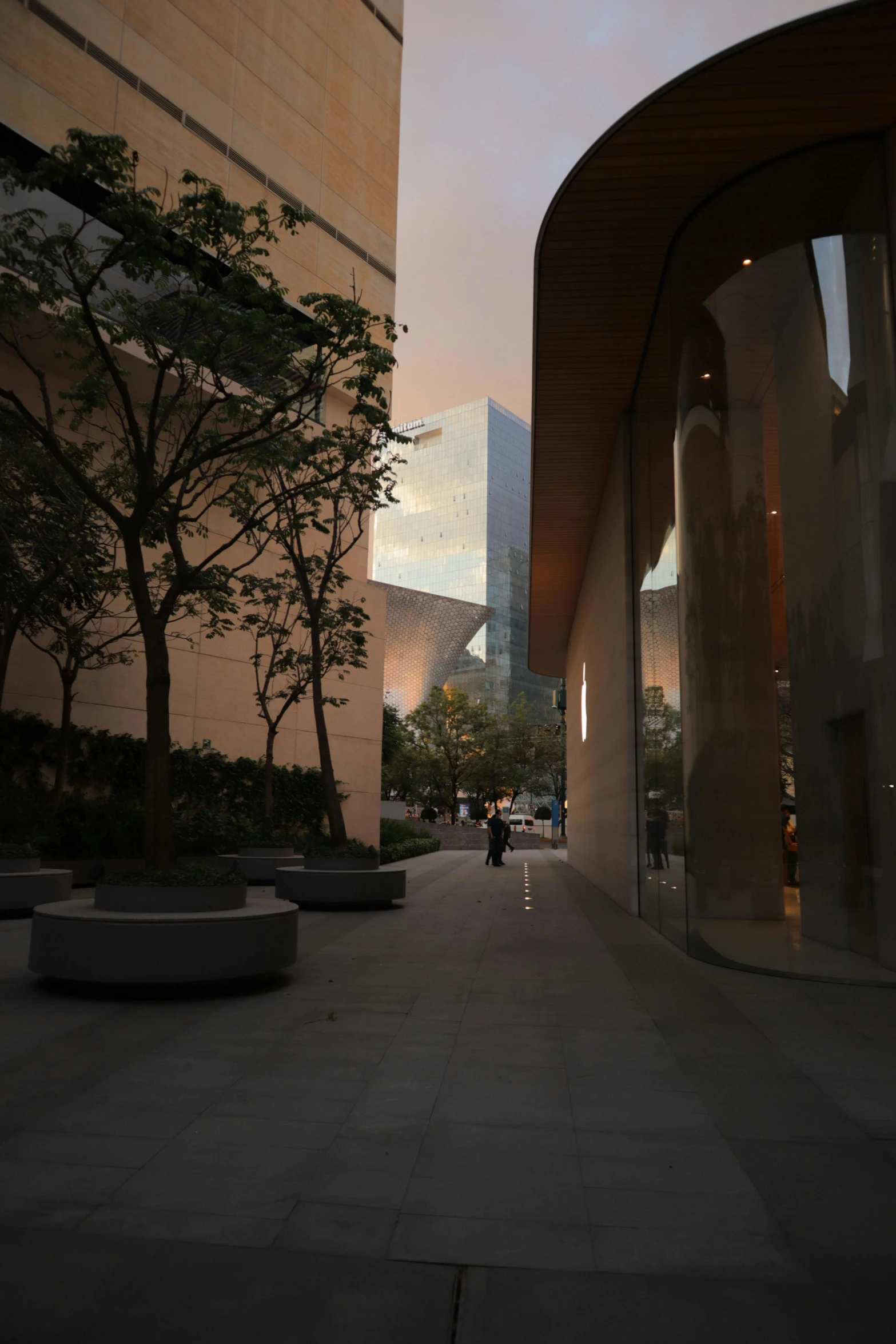 a man walks by trees and large round planters on the sidewalk