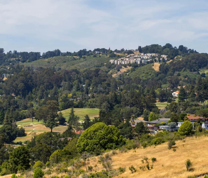 several houses in the hills with trees around